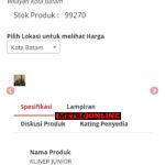 Transaksi Belanja Jasa Kebersihan Bapenda Kepri Diduga Terjadi Pemborosan Keuangan Daerah