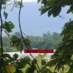 Tambang Ilegal Di Luwu Timur, APPPRI Laporan Kami Sudah Di Tambang Ilegal Di Luwu Timur, APPPRI Laporan Kami Sudah Di Proses