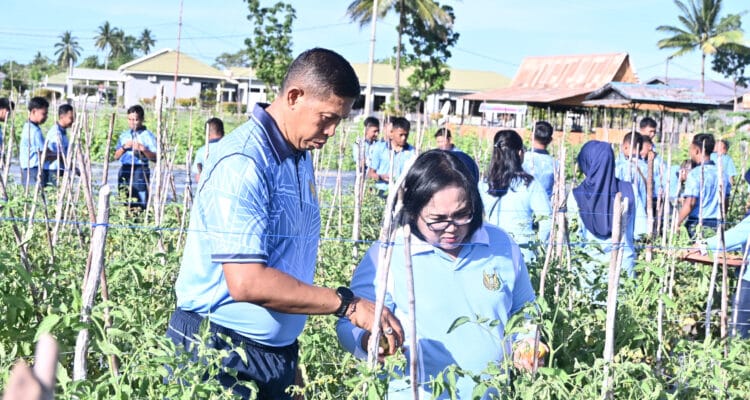 TNI AU Berkomitmen Jaga Ketahanan Pangan  TNI AU Berkomitmen Jaga Ketahanan Pangan