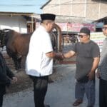 Bupati Asahan Serahkan Hewan Kurban Presiden RI kepada Panitia di Bupati Asahan Serahkan Hewan Kurban Presiden RI kepada Panitia di Masjid Raya Kisaran