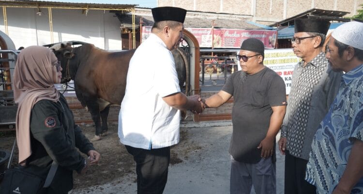 Bupati Asahan Serahkan Hewan Kurban Presiden RI kepada Panitia di Bupati Asahan Serahkan Hewan Kurban Presiden RI kepada Panitia di Masjid Raya Kisaran